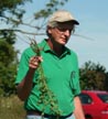 Man holding an alfalfa plant with healthy root.
