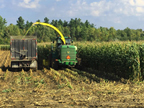 Harvesting corn at Miner Institute.