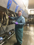 Veterinarian in a dairy farm milking parlor