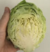 A miniature cabbage