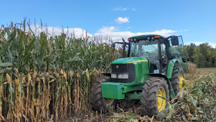 Tractor harvesting corn.