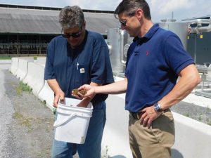 Two men examine bedding sample from a bucket