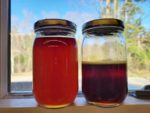 Two jars of beech syrup: one made with reverse osmosis, one without R-O.