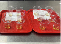 Small cups of tree sap beverages on a tray