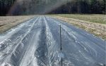 Landscape fabric stretched over long rows of vegetable planting.