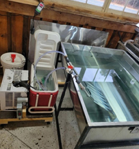 Small holding tank with DIY chiller unit attached